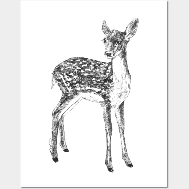 Ink drawing of a fawn Wall Art by katerinamk